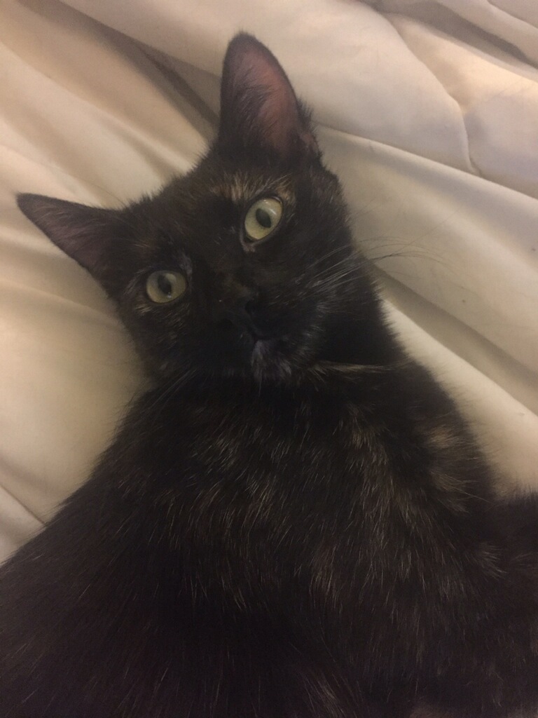 Minnie Minnie