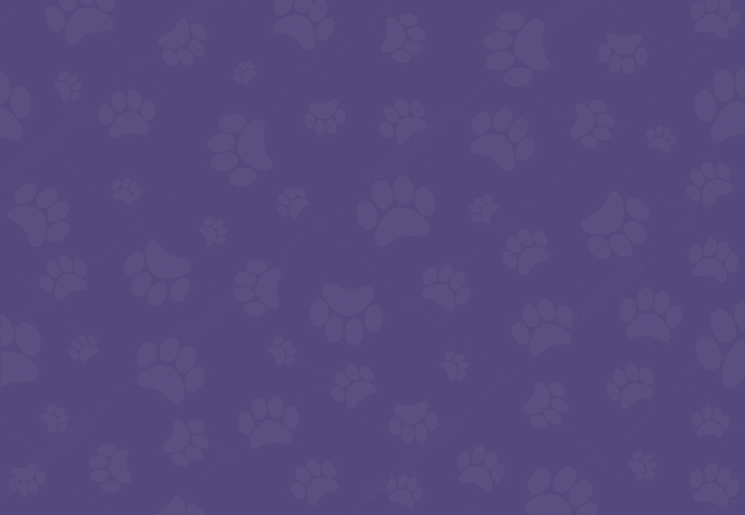 banner-pawprints