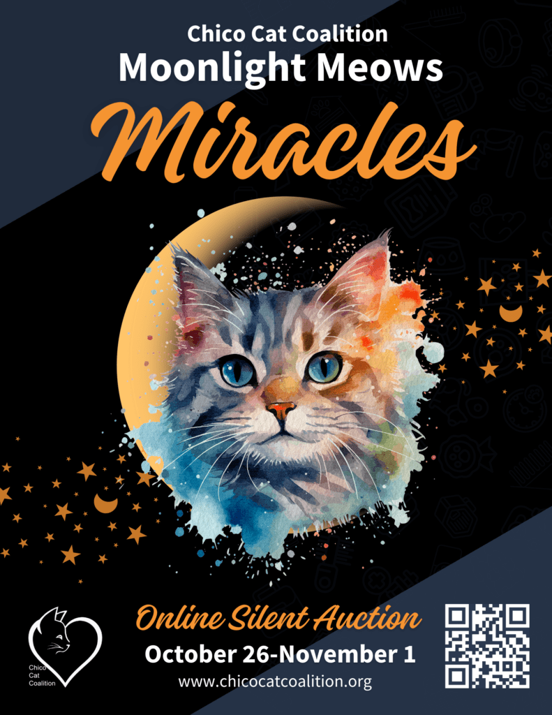 Moonlight Meows Miracles 5th Annual Online Auction