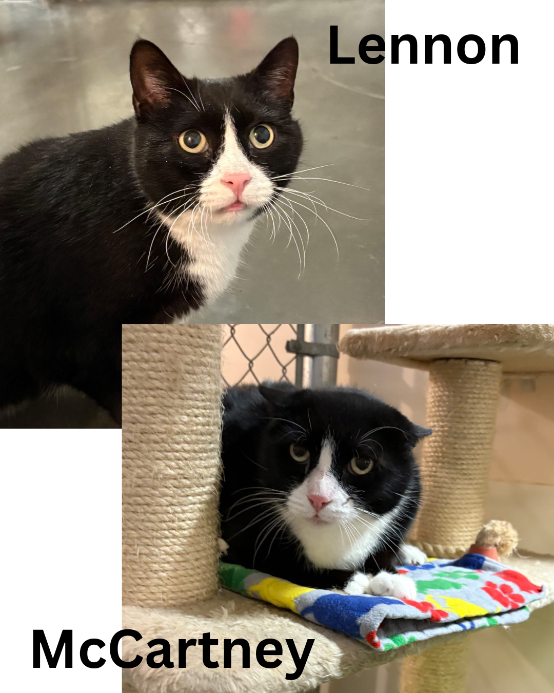 Lennon and McCartney