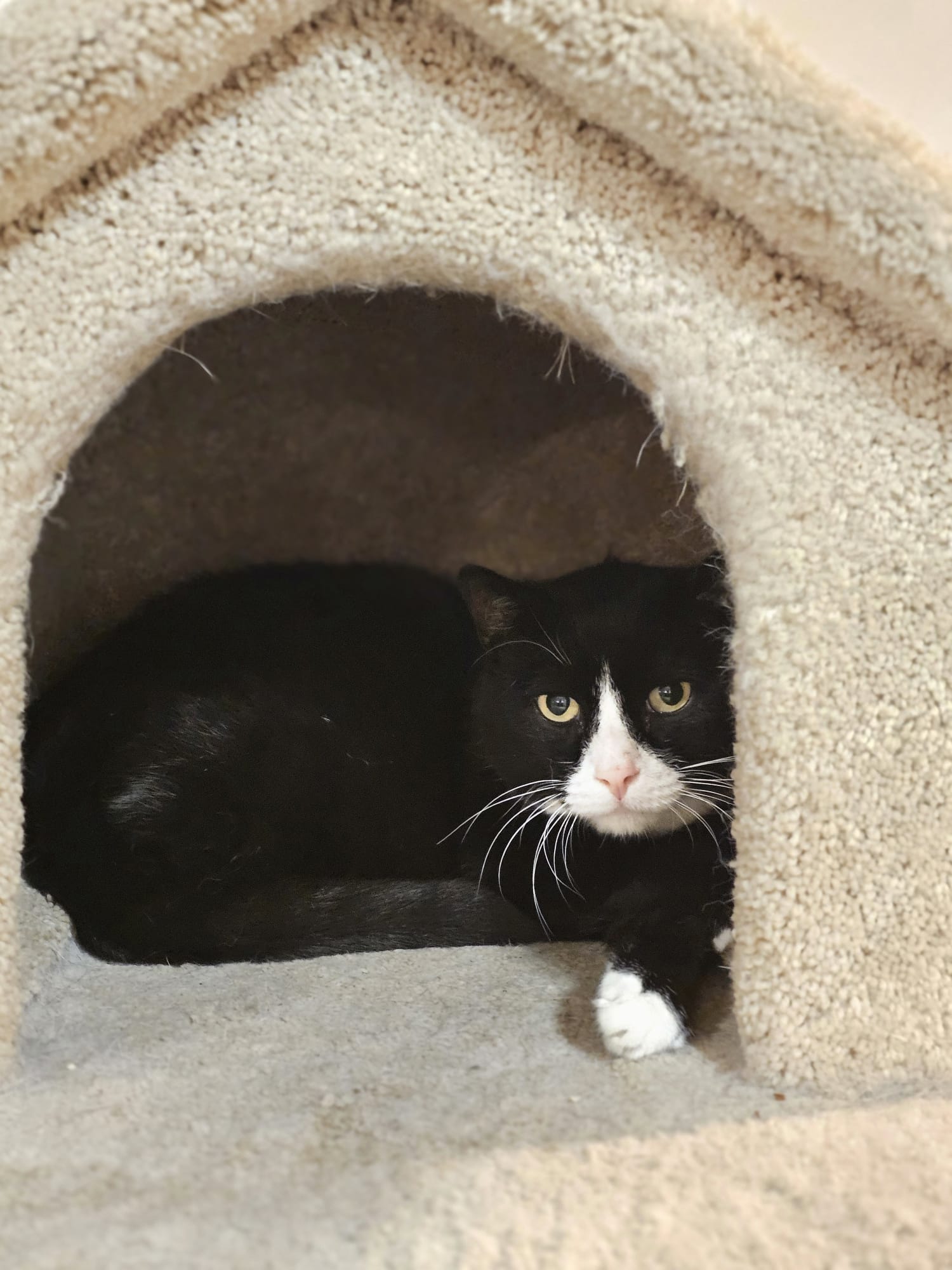 Lennon and McCartney