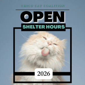 Open Shelter Hours for 2026!
