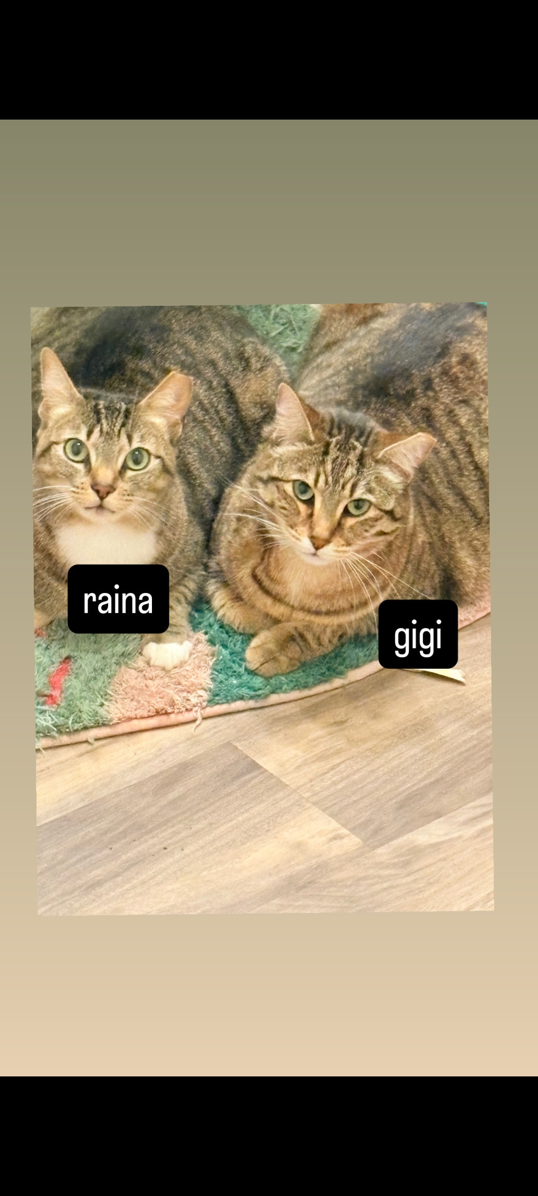 Raina & Gigi